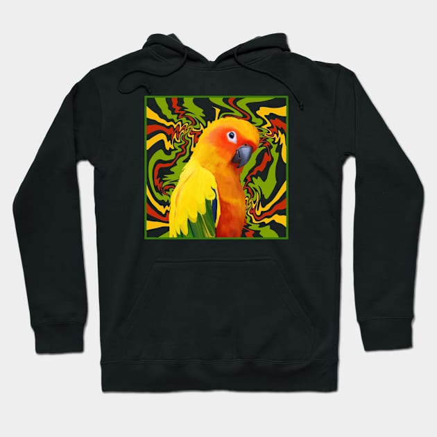 Colorful Sun Conure Parrot Hoodie by Suneldesigns